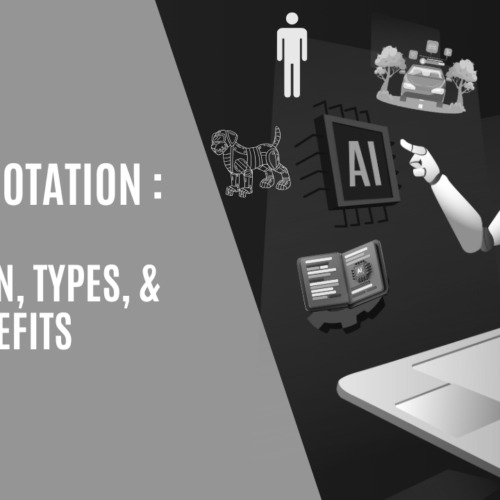 Data Annotation: Definition, Types, & Benefits