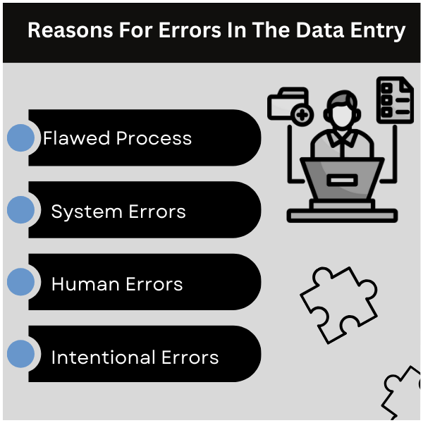 Reasons for Errors in the Data Entry Process